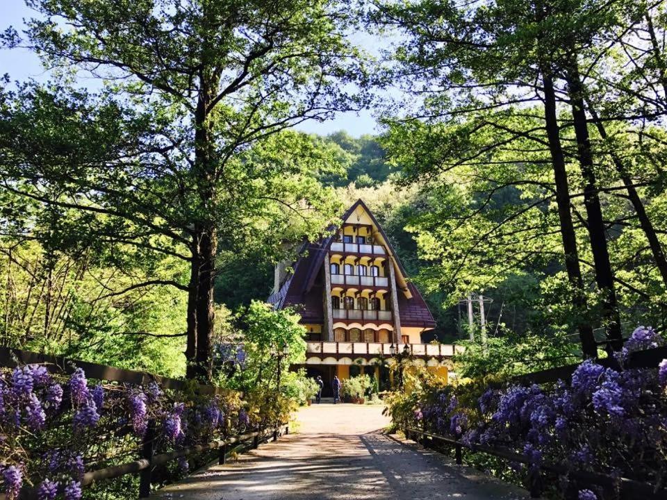 Pension Casa Vanatorilor ไบเลโอเลอเนชต์ ภายนอก รูปภาพ