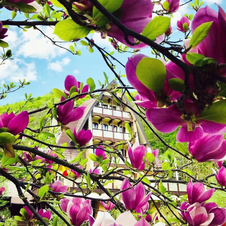 Pension Casa Vanatorilor ไบเลโอเลอเนชต์ ภายนอก รูปภาพ
