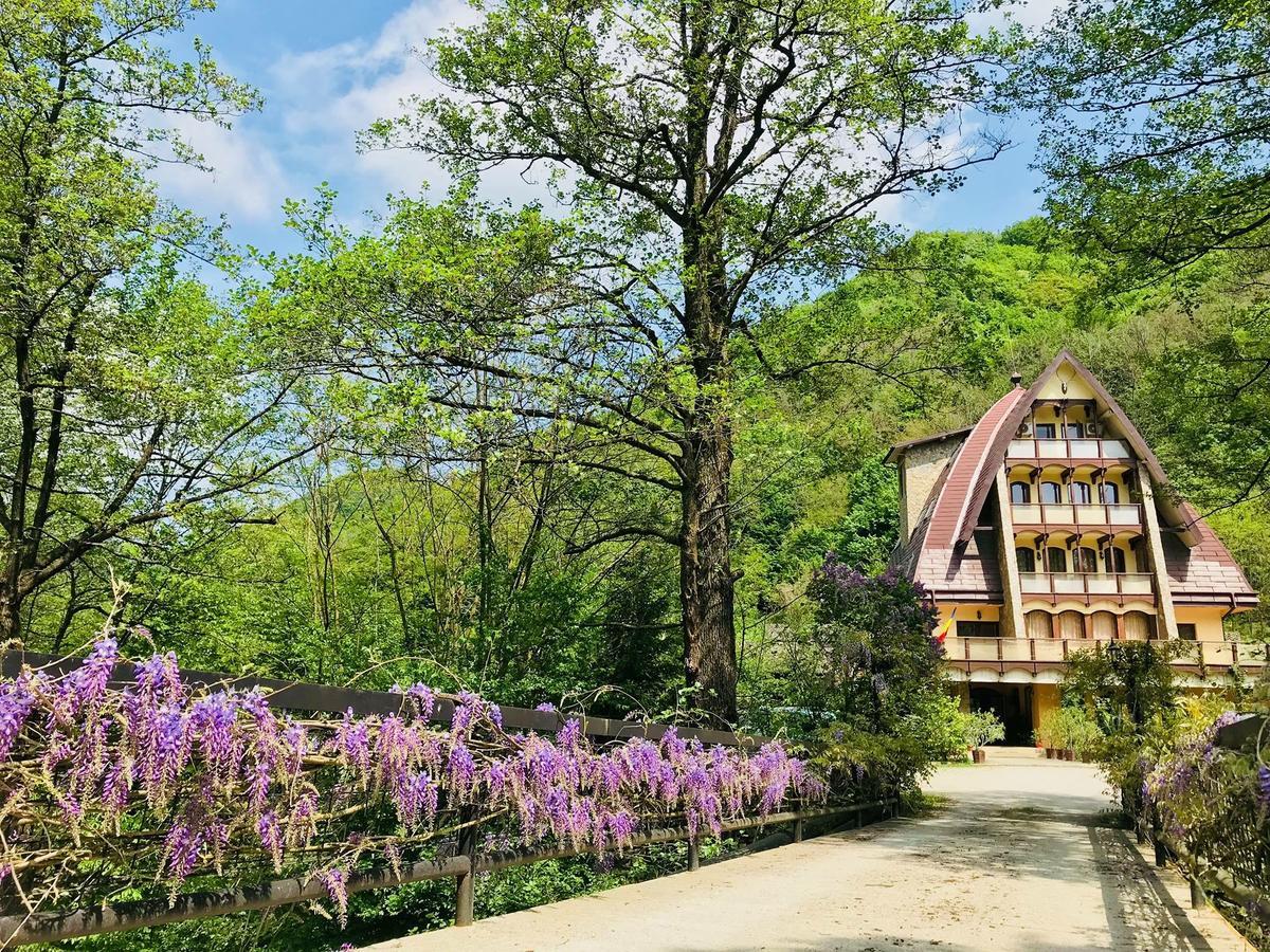 Pension Casa Vanatorilor ไบเลโอเลอเนชต์ ภายนอก รูปภาพ