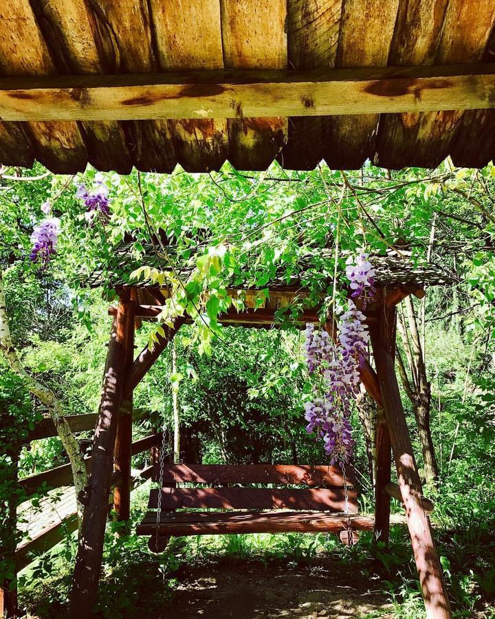 Pension Casa Vanatorilor ไบเลโอเลอเนชต์ ภายนอก รูปภาพ